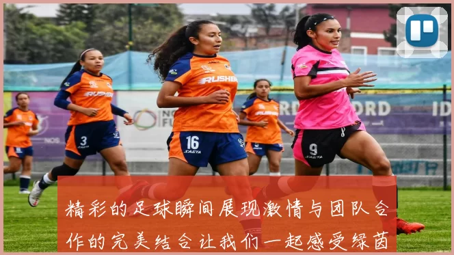 精彩的足球瞬间展现激情与团队合作的完美结合让我们一起感受绿茵场上的魅力与荣耀