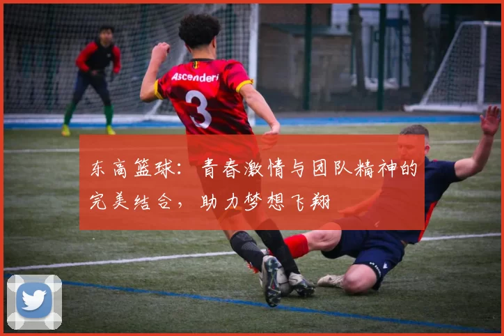 东高篮球：青春激情与团队精神的完美结合，助力梦想飞翔