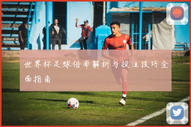 世界杯足球倍率解析与投注技巧全面指南