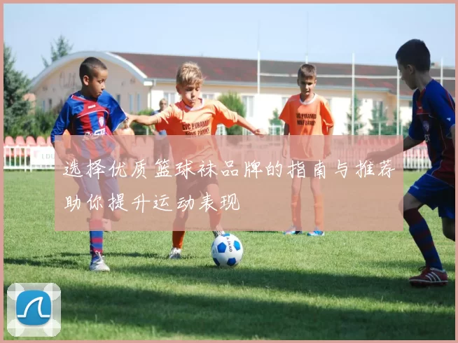 选择优质篮球袜品牌的指南与推荐助你提升运动表现